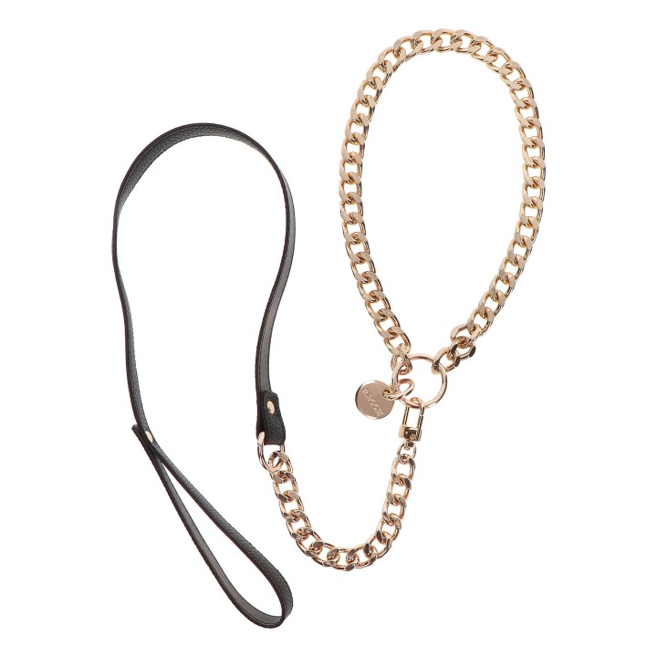 Statement Collar and leash
