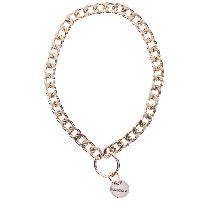 Statement Collar and leash
