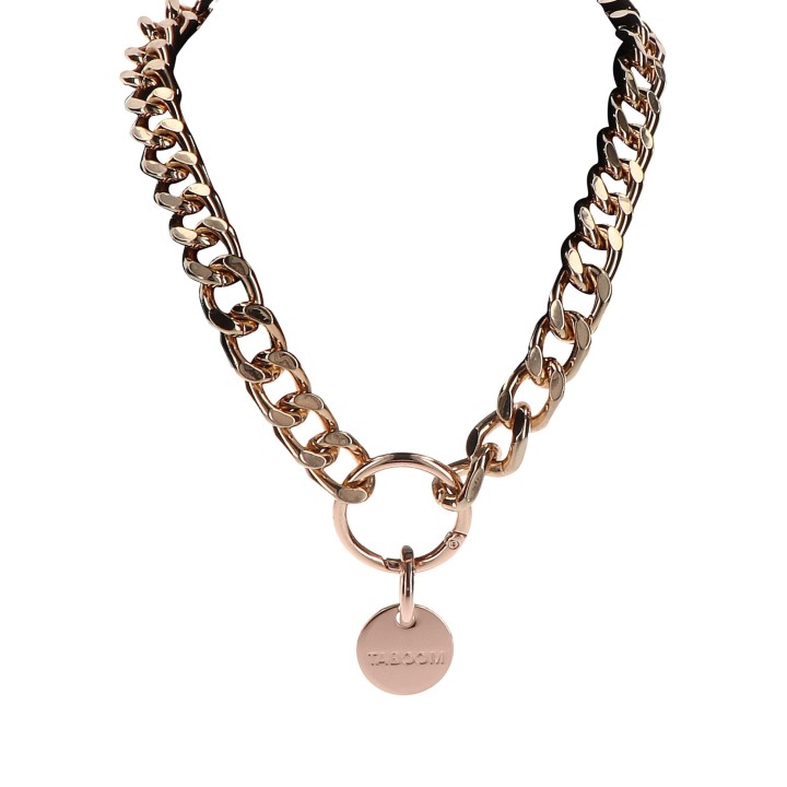 Statement Collar and leash